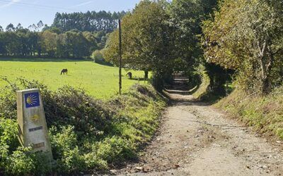 TEAM INNOVATION 2021 Project “SDG, Sustainable Tourism and Human Rights: Innovations and Future Jobs on the Camino de Santiago”