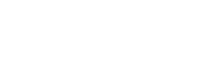 logo-bizum